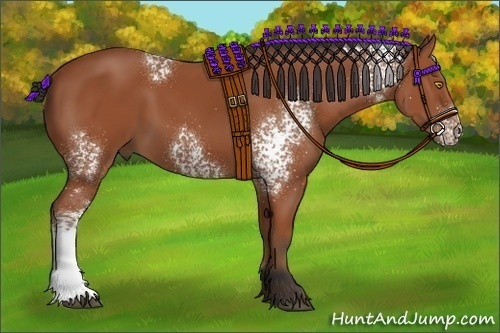 Horse Color:White Spotted Bay 