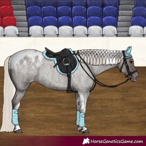 Horse Color:Silver Smoky Blue Roan Tobiano Blanket