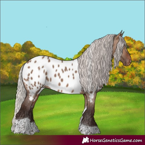 Horse Color:Silver Brown Dun Tobiano Appaloosa