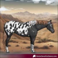 Horse Color:Gray Liver Chestnut Tobiano Near Leopard 