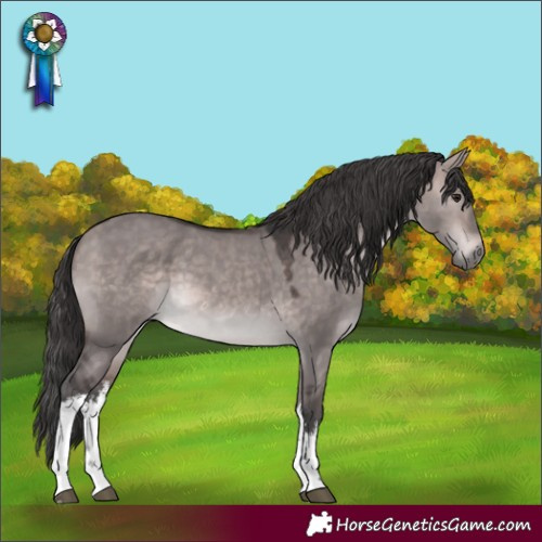 Horse Color:Platinum White Spotted Bay Dun 