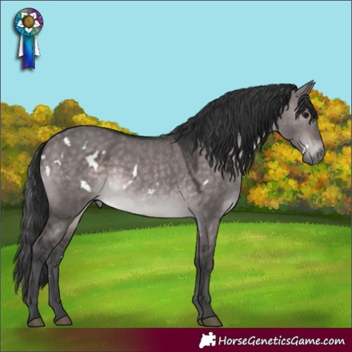 Horse Color:Platinum White Spotted Brown Dun