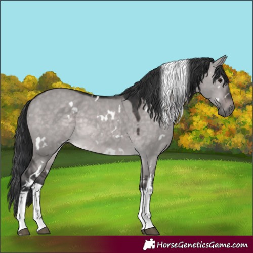 Horse Color:Platinum White Spotted Brown Dun 