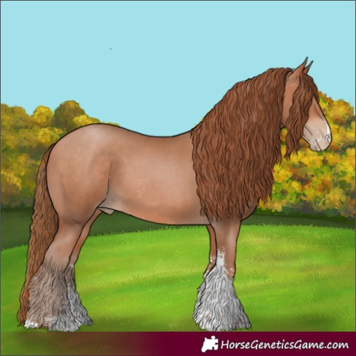 Horse Color:Bay Pearl Sabino 