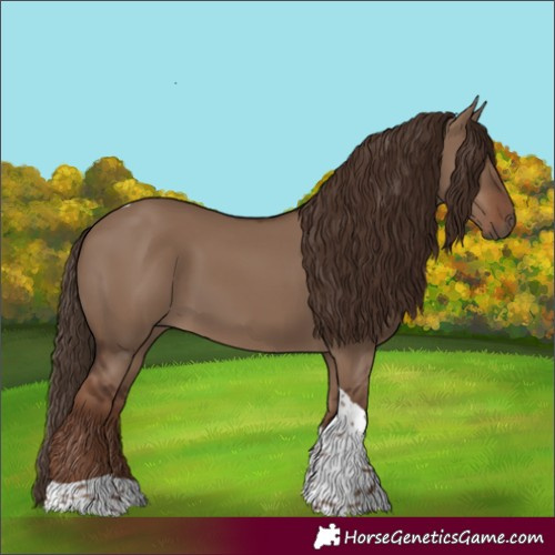 Horse Color:Liver Red Dun Tobiano