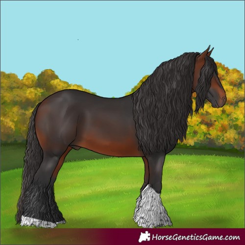 Horse Color:Bay Tobiano
