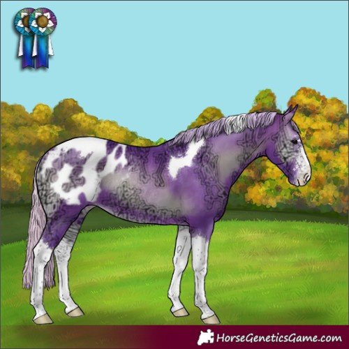 Horse Color:Watercolor Silver Brown Ice Onyx Sabino Tobiano Appaloosa Rabicano
