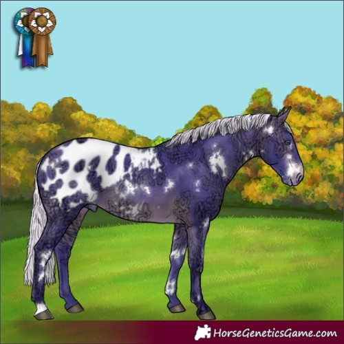 Horse Color:Watercolor White Spotted Silver Brown Chinchilla Ice Blanket Rabicano