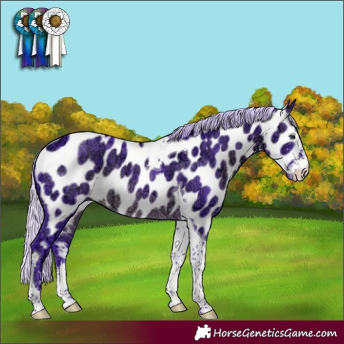 Horse Color:Watercolor Silver Brown Chinchilla Ice Sabino Tobiano Appaloosa Rabicano 