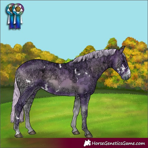 Horse Color:Watercolor White Spotted Silver Bay Ice Onyx Sabino Rabicano 