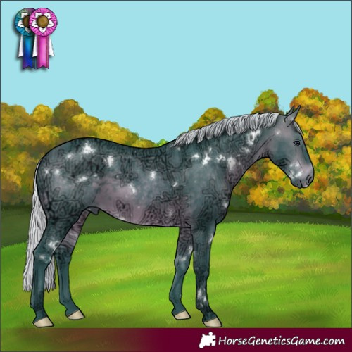 Horse Color:Watercolor White Spotted Silver Brown Chinchilla Ice Rabicano 