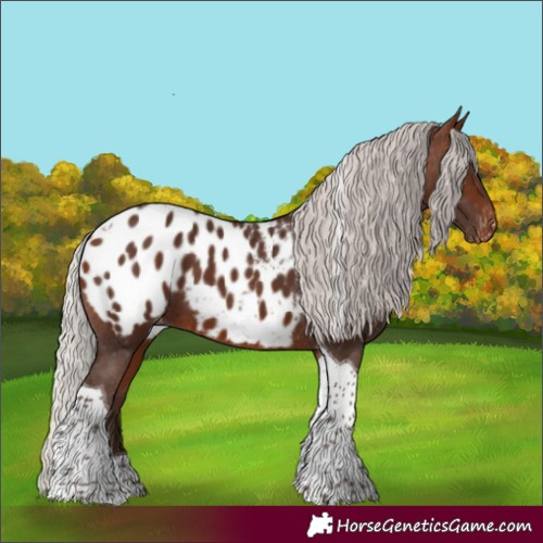 Horse Color:Silver Bay Tobiano Blanket
