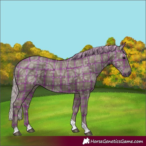 Horse Color:Plaid Silver Black Ice Tobiano