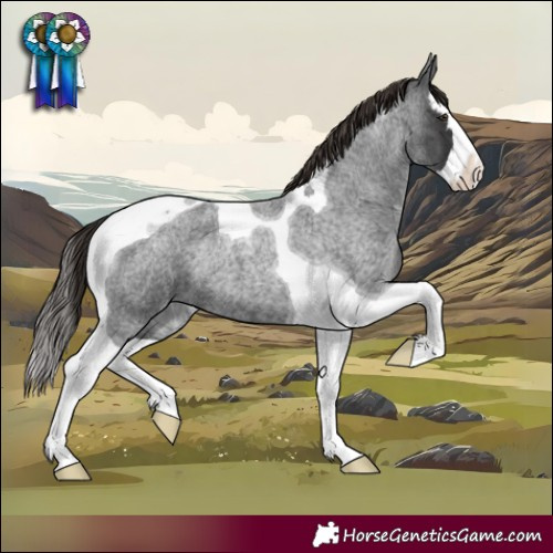 Horse Color:Liver Red Roan Splash Tobiano Rabicano