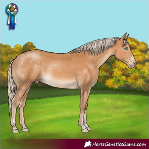 Horse Color:Gray Cremello