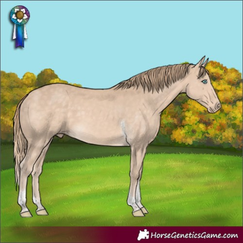 Horse Color:Perlino Tobiano Rabicano 