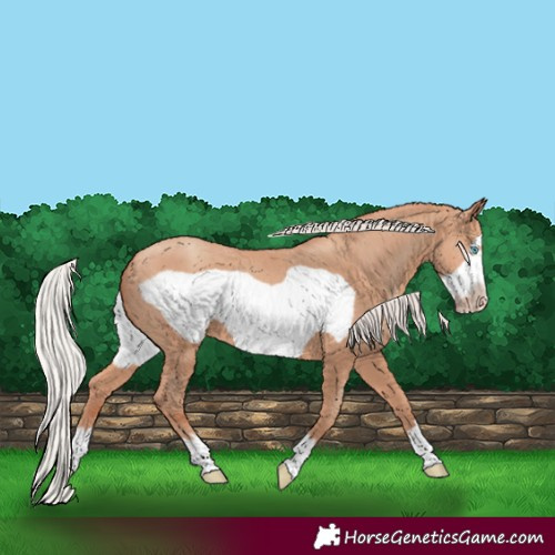 Horse Color:Silver Amber Champagne Frame 
