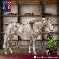 Horse Color:Powder White White Spotted Silver Brown Dun Rabicano Brindle 