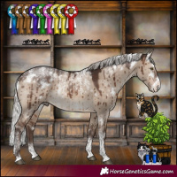 Horse Color:Powder White White Spotted Silver Brown Dun Rabicano Brindle 