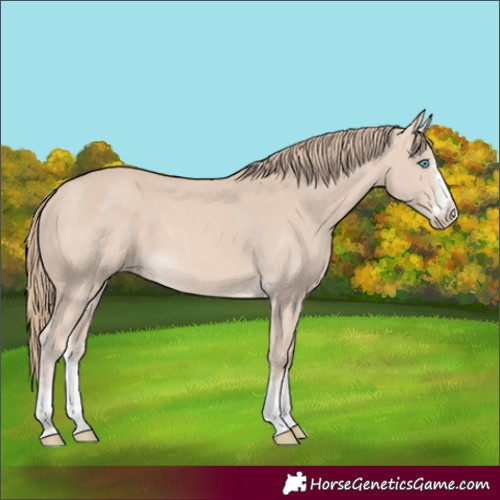 Horse Color:Perlino