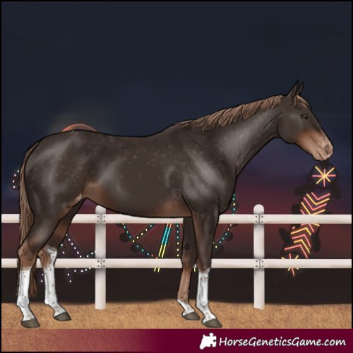 Horse Color:Liver Chestnut Tobiano Varnish
