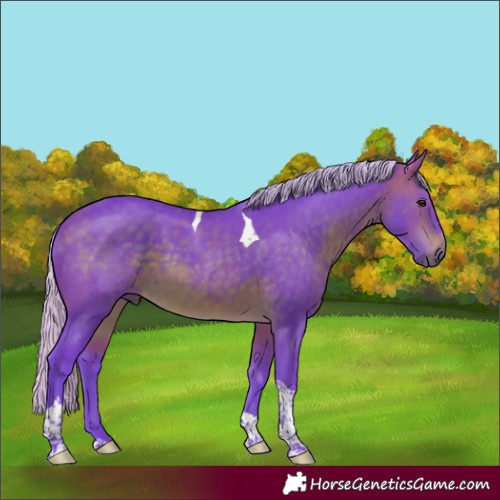 Horse Color:Watercolor Silver Brown Tobiano Rabicano 