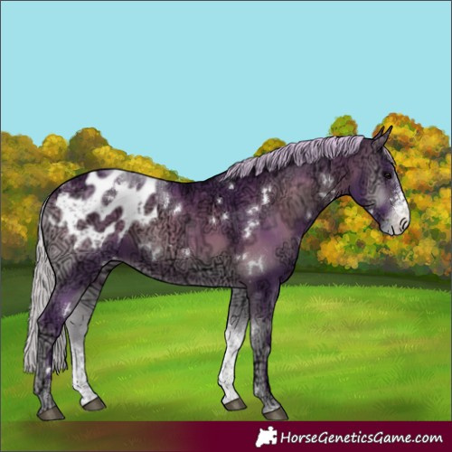 Horse Color:Watercolor White Spotted Silver Bay Ice Onyx Sabino Appaloosa Rabicano