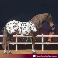 Horse Color:Liver Chestnut Tobiano Near Leopard
