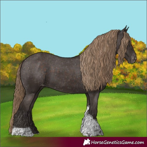 Horse Color:Liver Chestnut Tobiano Appaloosa