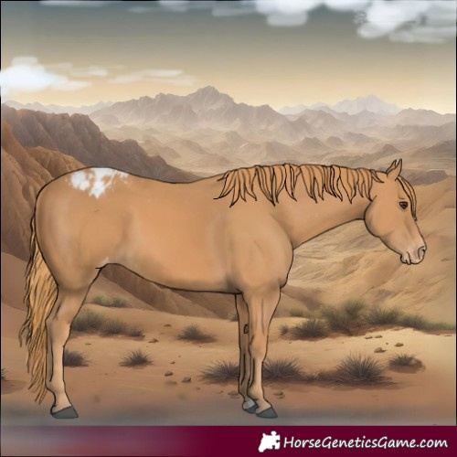 Horse Color:Chestnut Varnish 