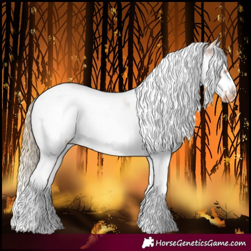 Horse Color:Red Ice Roan Splash Tobiano Frame Blanket