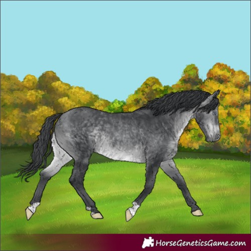 Horse Color:Brown Chinchilla