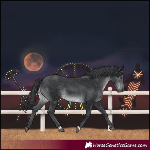 Horse Color:Black Chinchilla