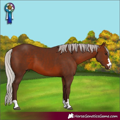 Horse Color:Silver Brown