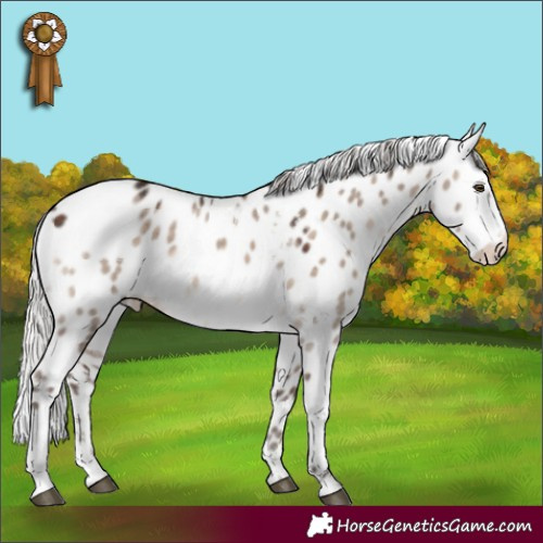 Horse Color:White Spotted Silver Brown Dun Mushroom Sabino Leopard