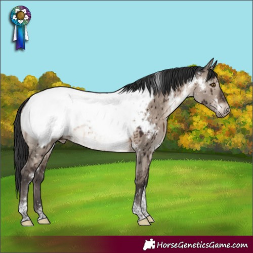 Horse Color:White Spotted Brown Dun Mushroom Tobiano Near Fewspot Brindle 
