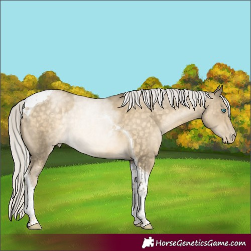 Horse Color:Silver Buckskin Tobiano