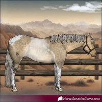 Horse Color:Silver Pseudo Smoky Grullo Dun Tobiano
