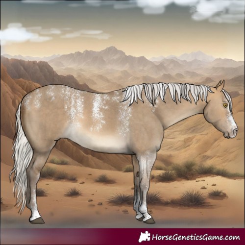 Horse Color:Powder White Silver Buckskin Dun Sabino