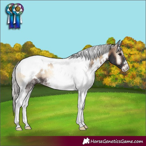 Horse Color:White Spotted Silver Brown Onyx Tobiano Rabicano 