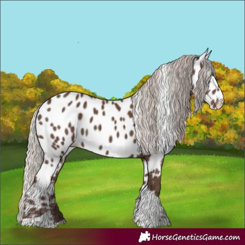 Horse Color:Silver Black Tobiano Appaloosa