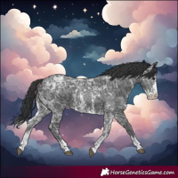 Horse Color:Black Ice Sabino Varnish 