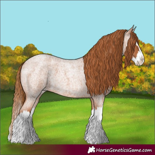 Horse Color:Red Roan Splash 