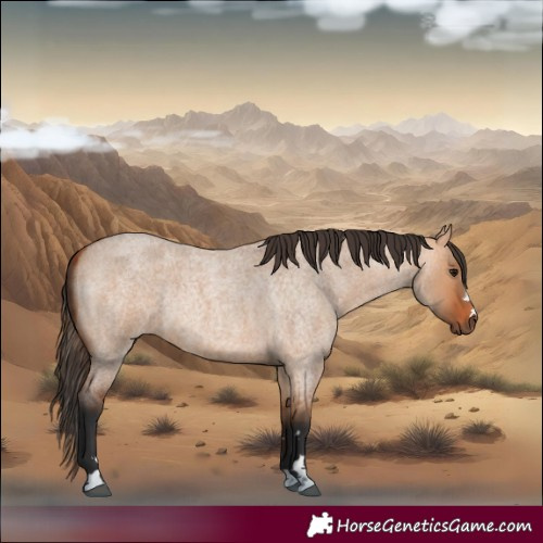 Horse Color:Bay Roan Dun Rabicano 