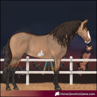 Horse Color:Bay Dun Frame 