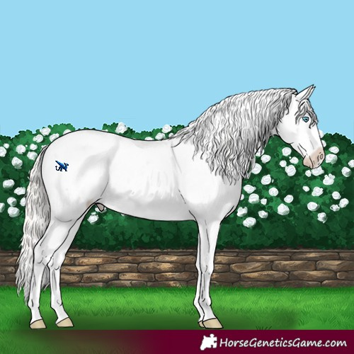 Horse Color:Cremello Sabino 
