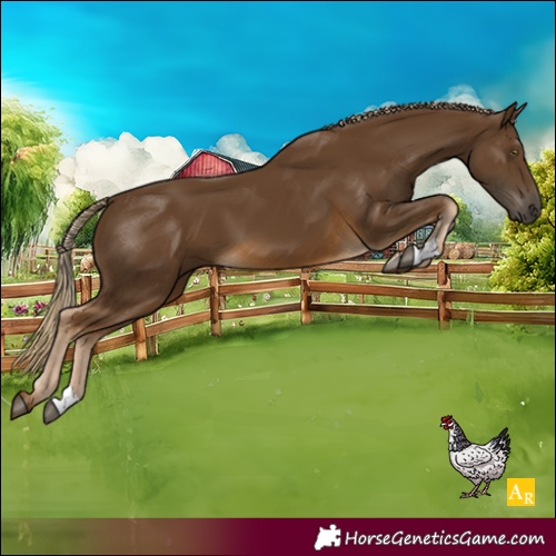 Horse Color:Chocolate Palomino