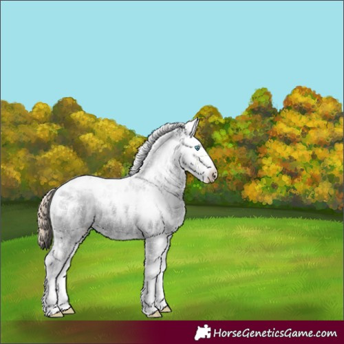 Horse Color:Chocolate Perlino Dun Sabino