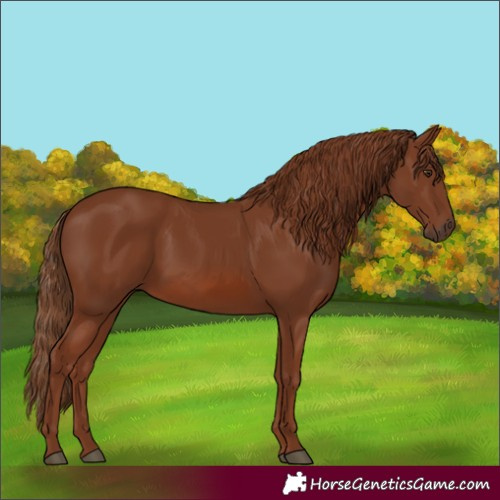 Horse Color:Chestnut 