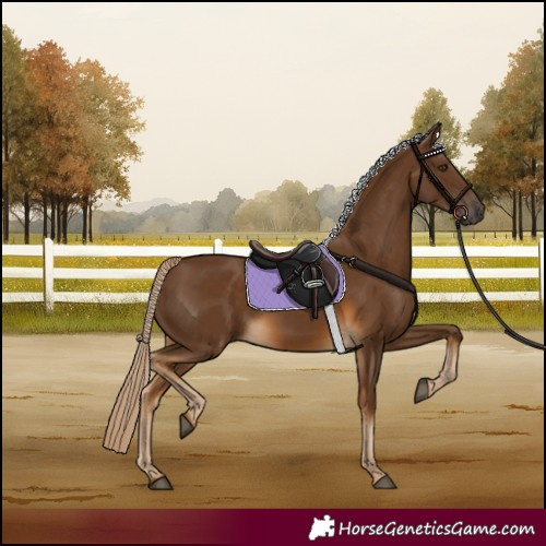 Horse Color:Chocolate Palomino